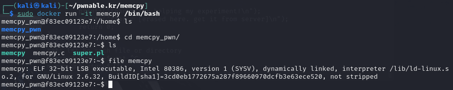 Our binay in the Docker container