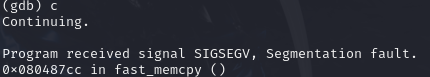 Experiment 5 Segfaults